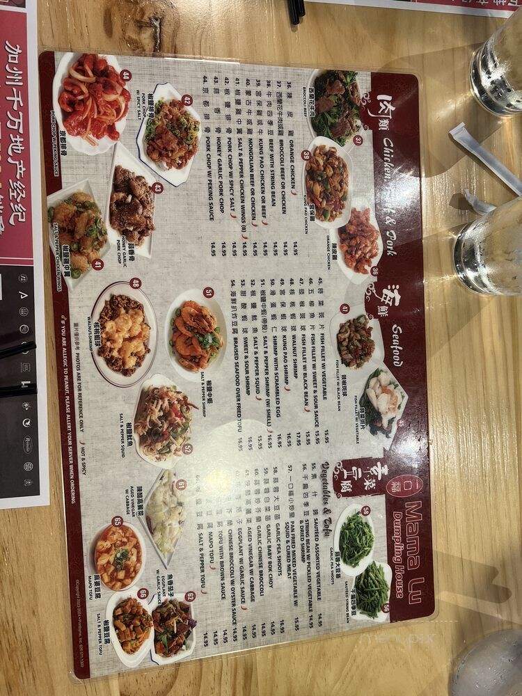 Mama Lu's Dumpling House - Tustin, CA