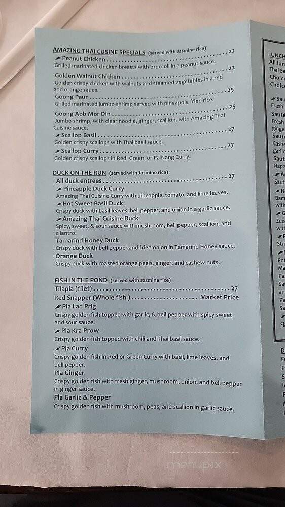 Amazing Thai Cusine - Copiague, NY menu_pic