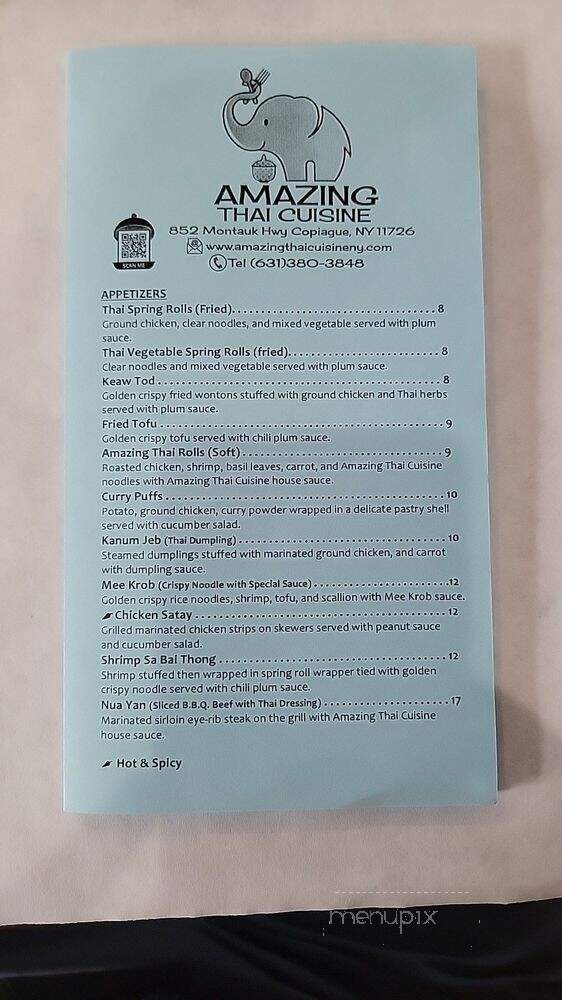 Amazing Thai Cusine - Copiague, NY menu_pic