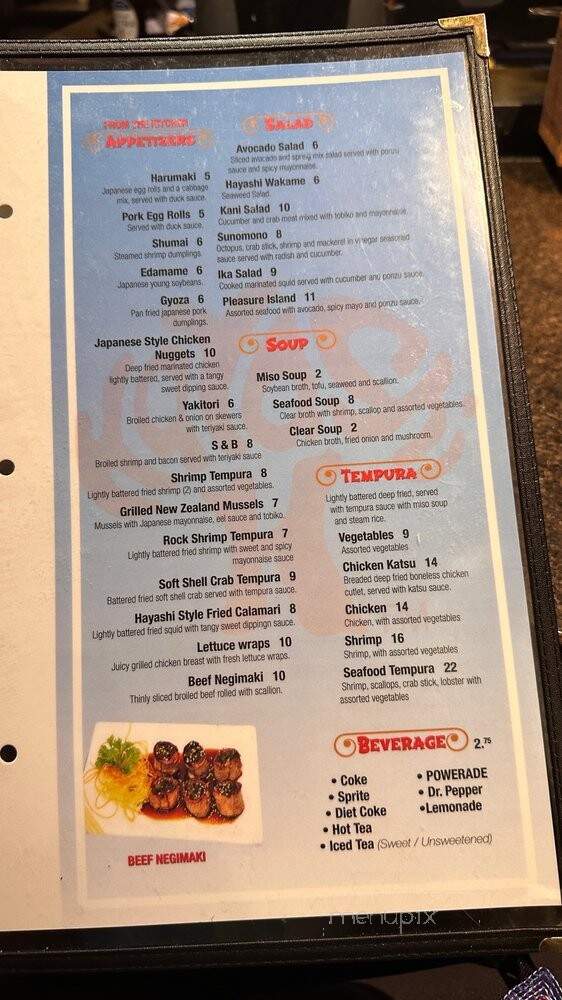 Hayashi Japanese Hibachi and Sushi Bar - McAllen, TX