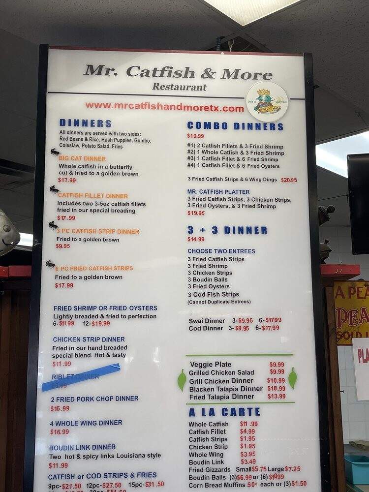 Mr Catfish - Austin, TX