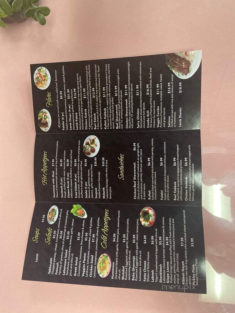 menu_pic
