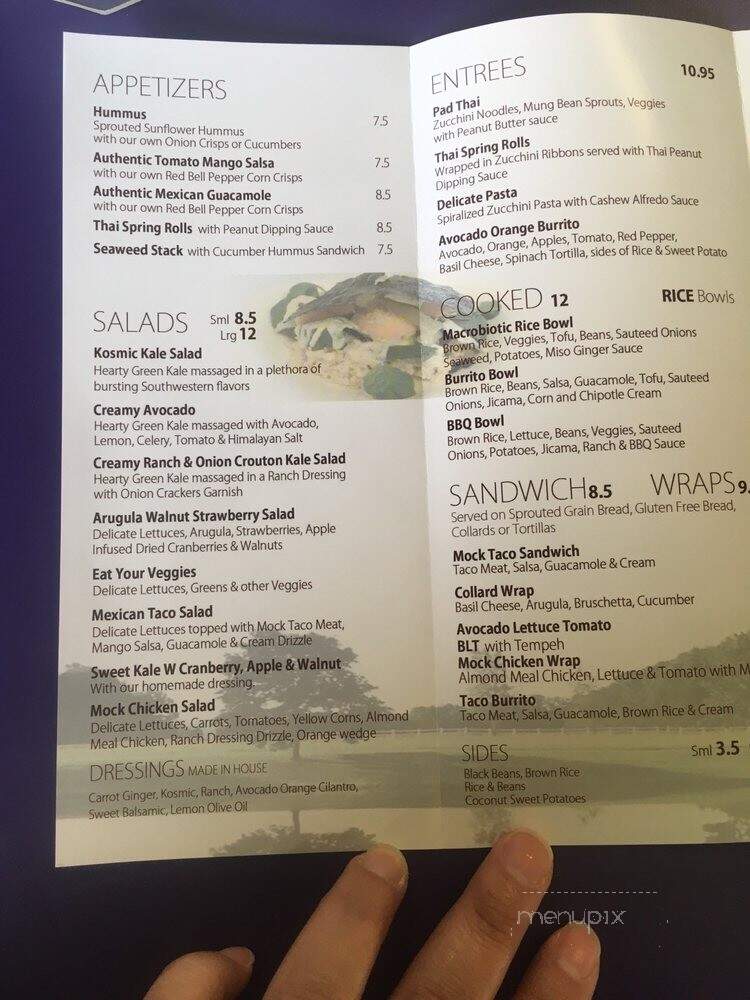 Raw Can Roll Cafe - Wayne, PA menu_pic