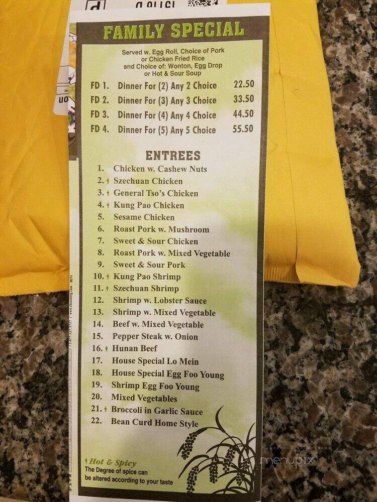 China Wok - Winter Garden, FL menu_pic