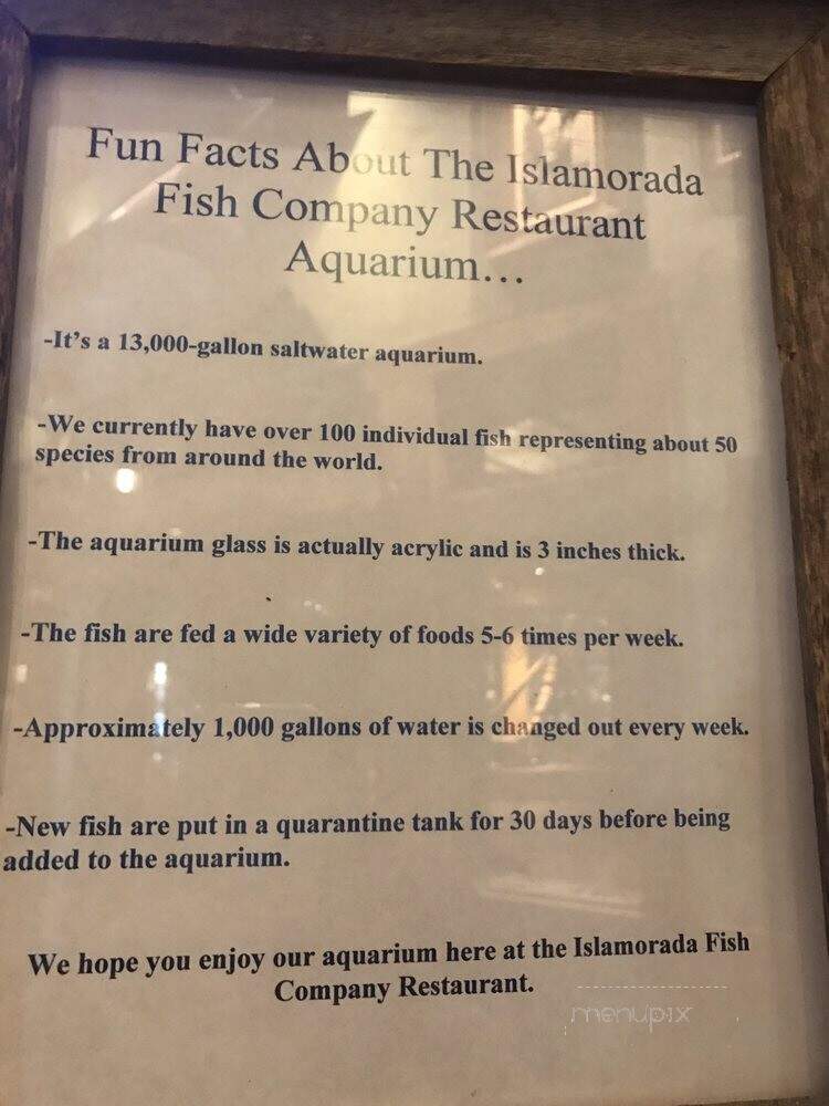 Islamorada Fish Co. - Denver, CO