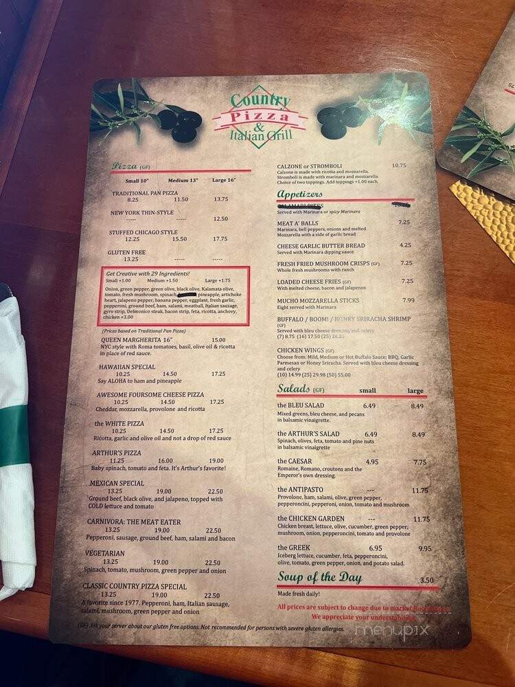 Country Pizza Italian Grill - Port Richey, FL menu_pic