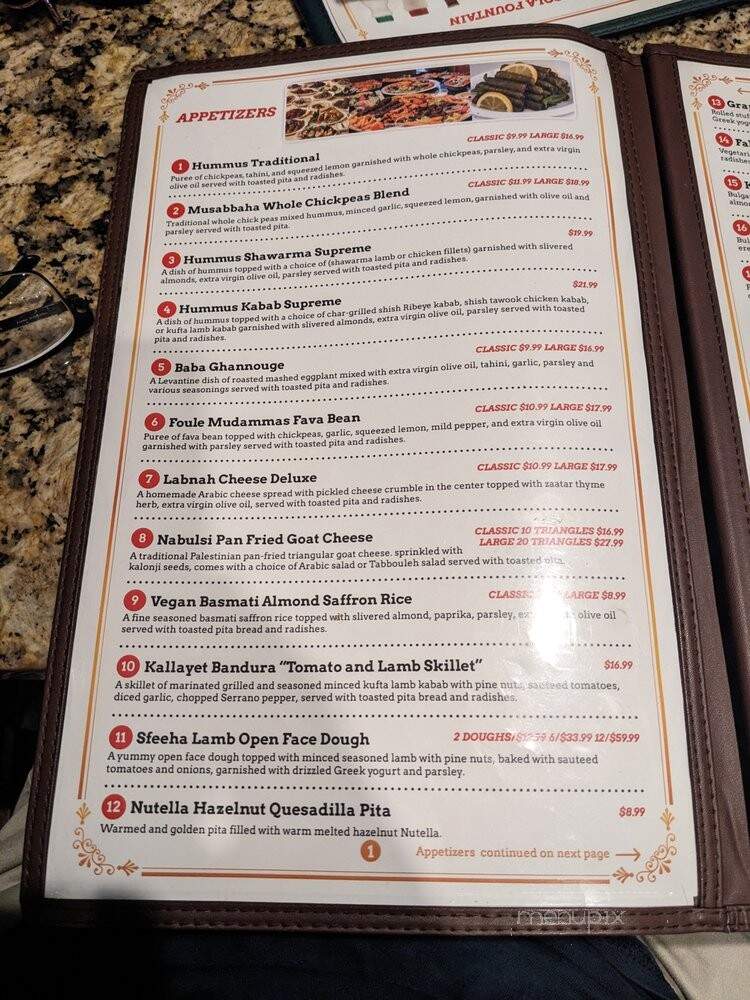 Kabab Village - Fort Myers, FL menu_pic