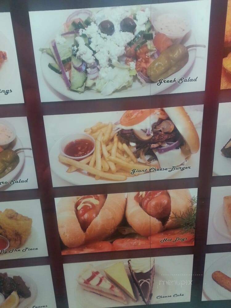 Mr Gyro's and More - Toledo, OH menu_pic