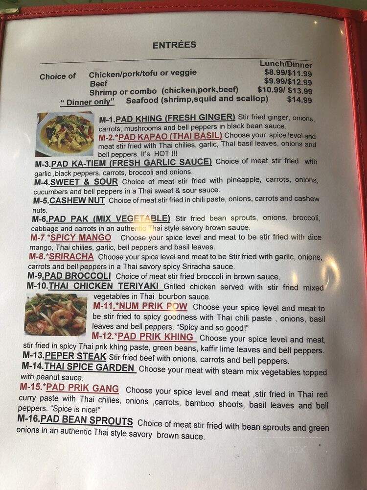 Thai 99 - Chesapeake, VA menu_pic