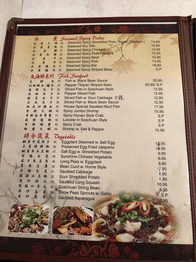 Traditional Hunan Style - Flushing, NY menu_pic