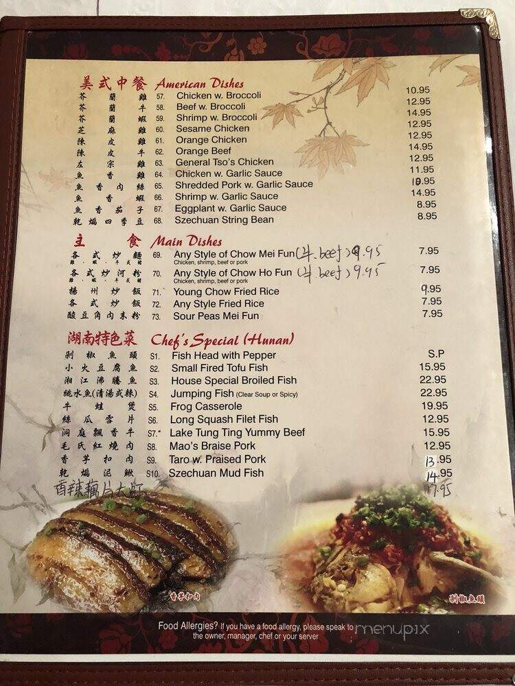 Traditional Hunan Style - Flushing, NY menu_pic