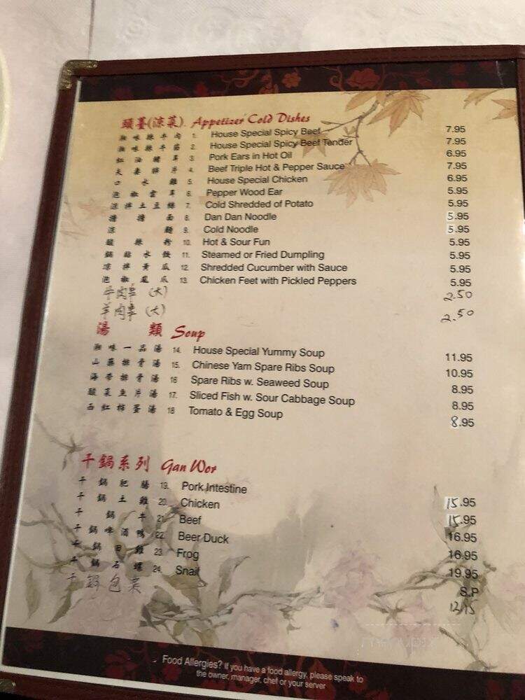 Traditional Hunan Style - Flushing, NY menu_pic