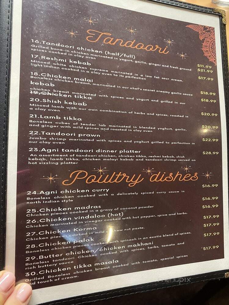 Agni Indian Kitchen & Bar - Greensboro, NC menu_pic