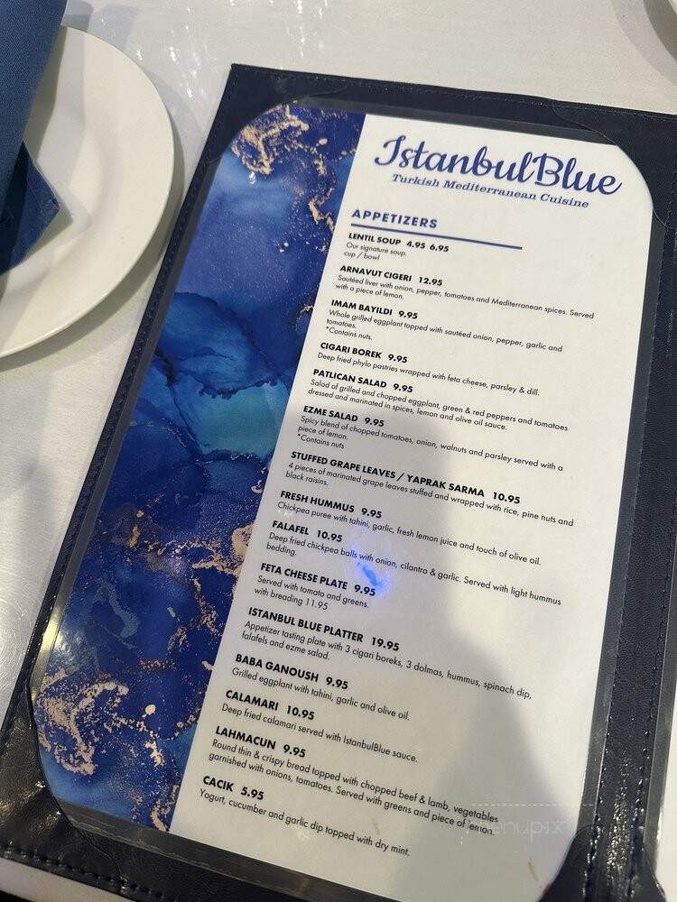 Istanbul Blue - Vienna, VA menu_pic