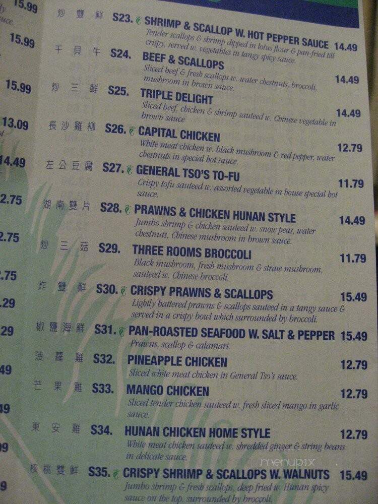 Chinese Palace - New York, NY menu_pic