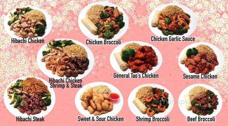 Hibachi Express - New Rochelle, NY menu_pic