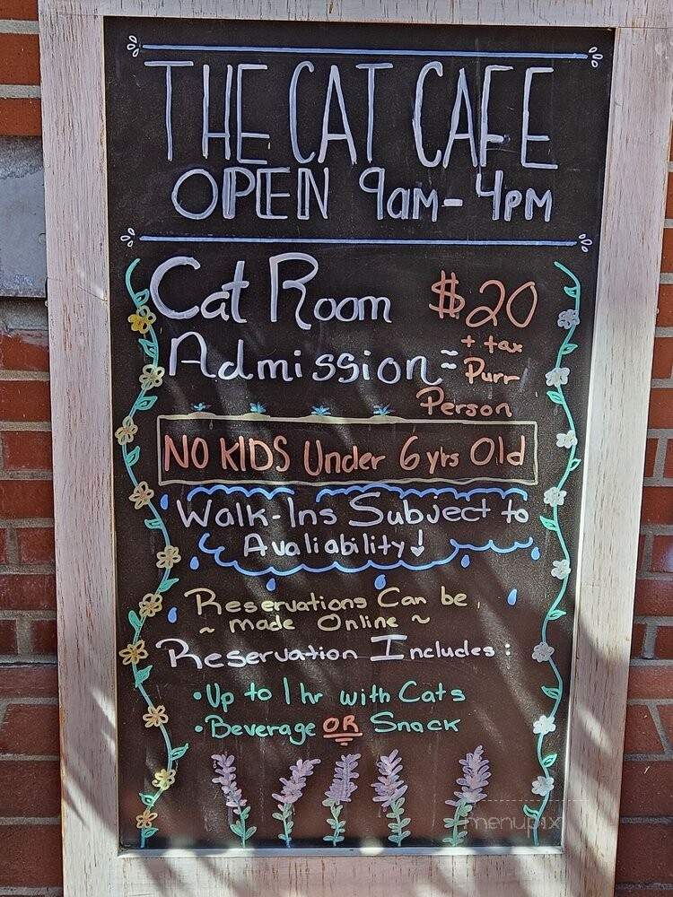 Cat Cafe - San Diego, CA