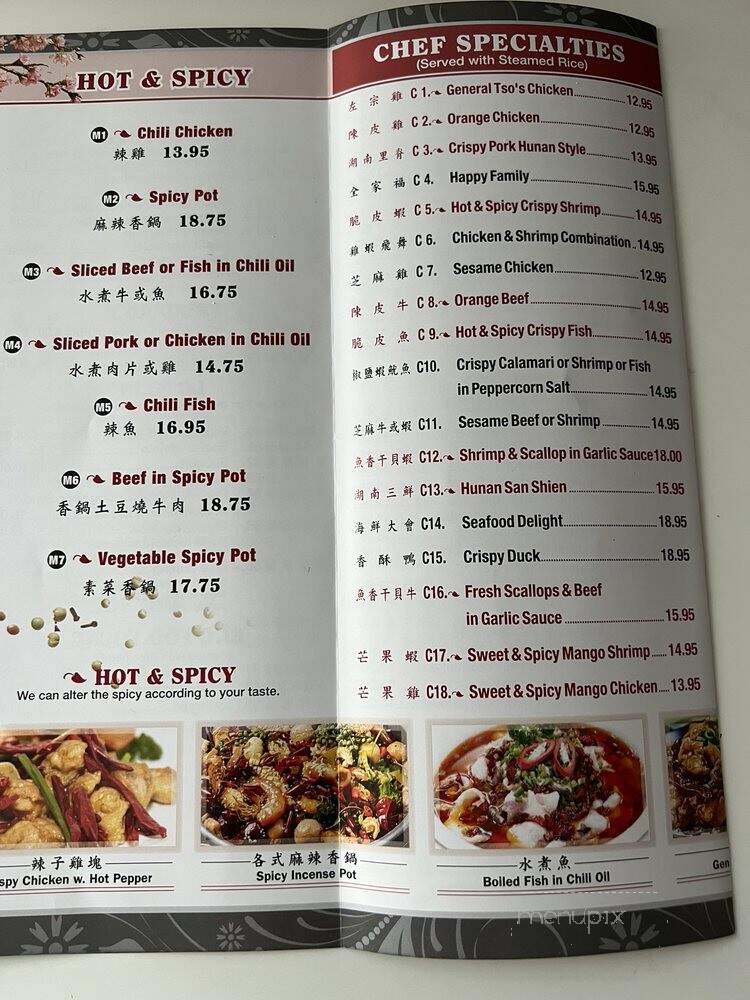Hunan Chinese Restaurant - Princeton, NJ menu_pic