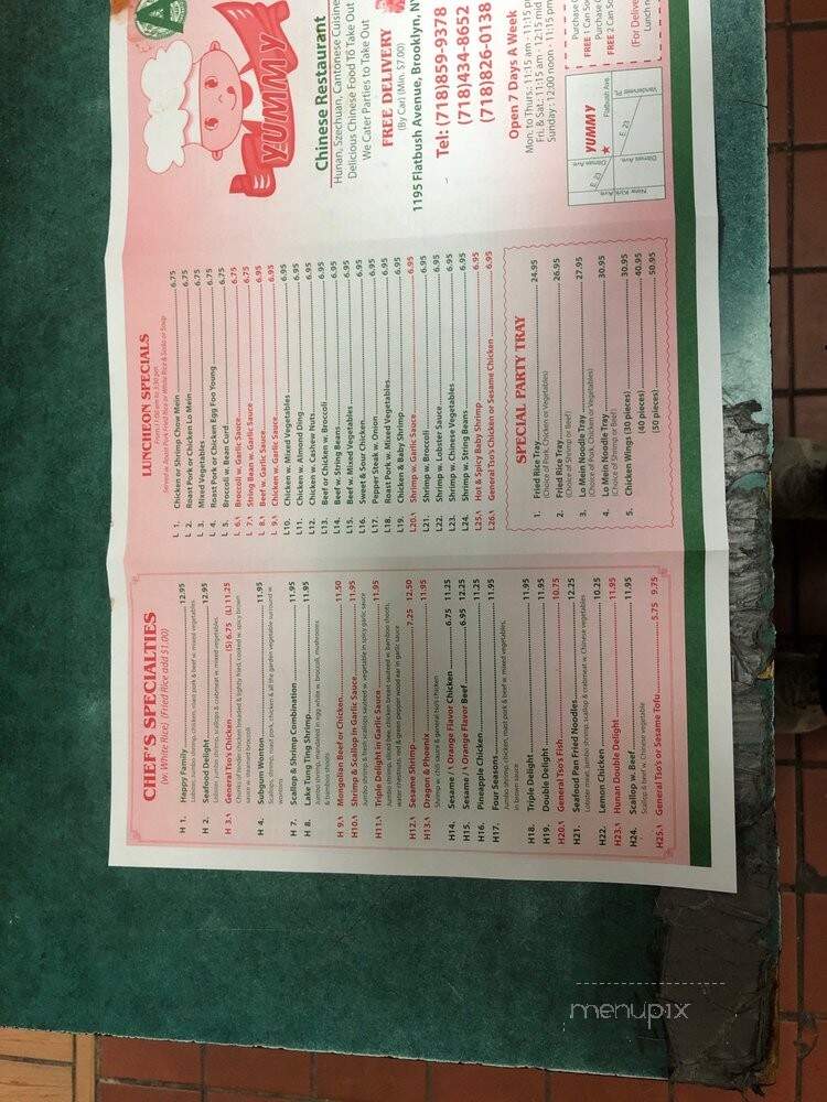 Yummy Chinese Restaurant - Brooklyn, NY menu_pic