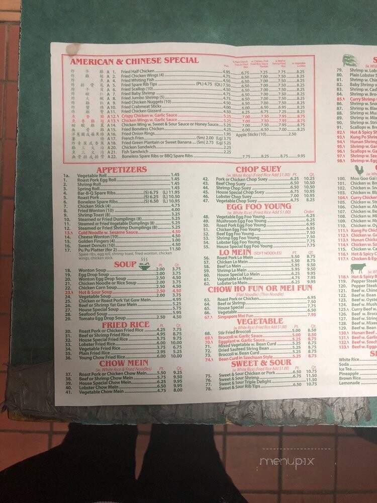 Yummy Chinese Restaurant - Brooklyn, NY menu_pic