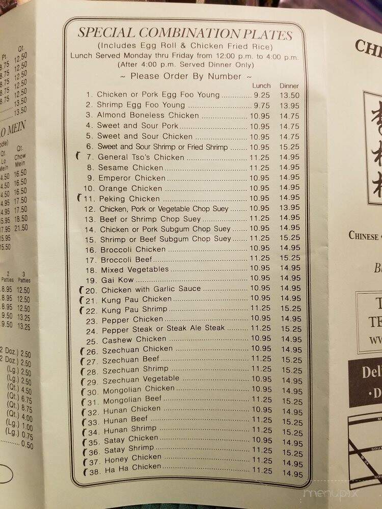 China Village - Bloomfield Hills, MI menu_pic