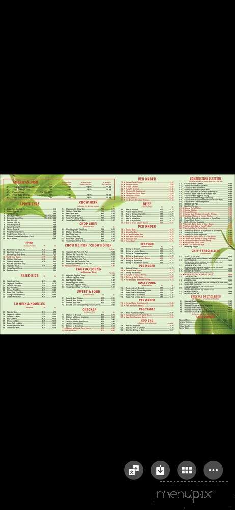 Chinese Treasure Restaurant - Ashcroft, BC menu_pic