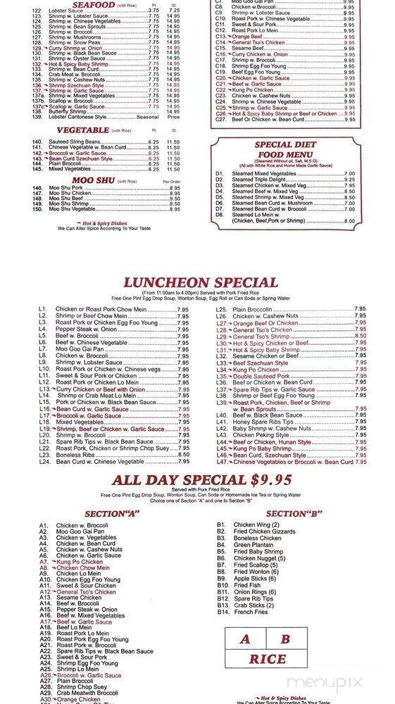 Panda Chinese Takeout Restaurant - South Ozone Park, NY menu_pic