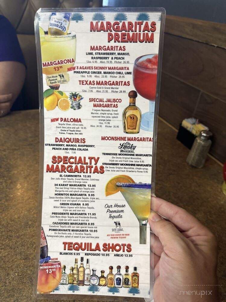 Camino Mexican Restaurant - Dickson, TN menu_pic
