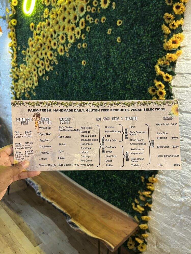 Sila's Mediterranean Restaurant - Chicago, IL menu_pic