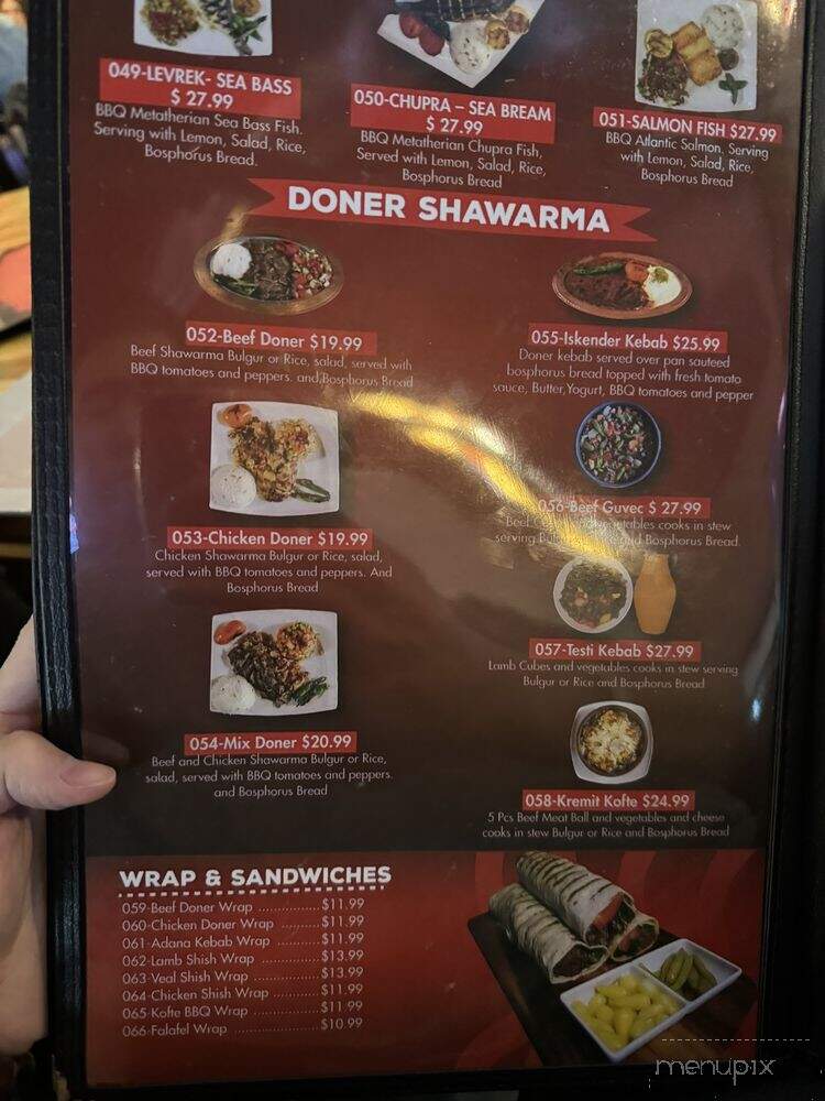 Bosphorus Turkish Cuisine - North York, ON menu_pic