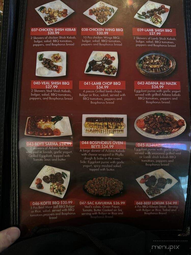 Bosphorus Turkish Cuisine - North York, ON menu_pic