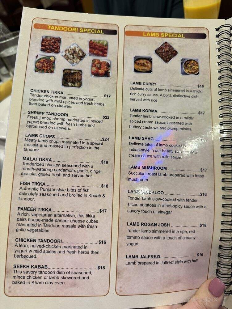 Mehak - Columbus, OH menu_pic