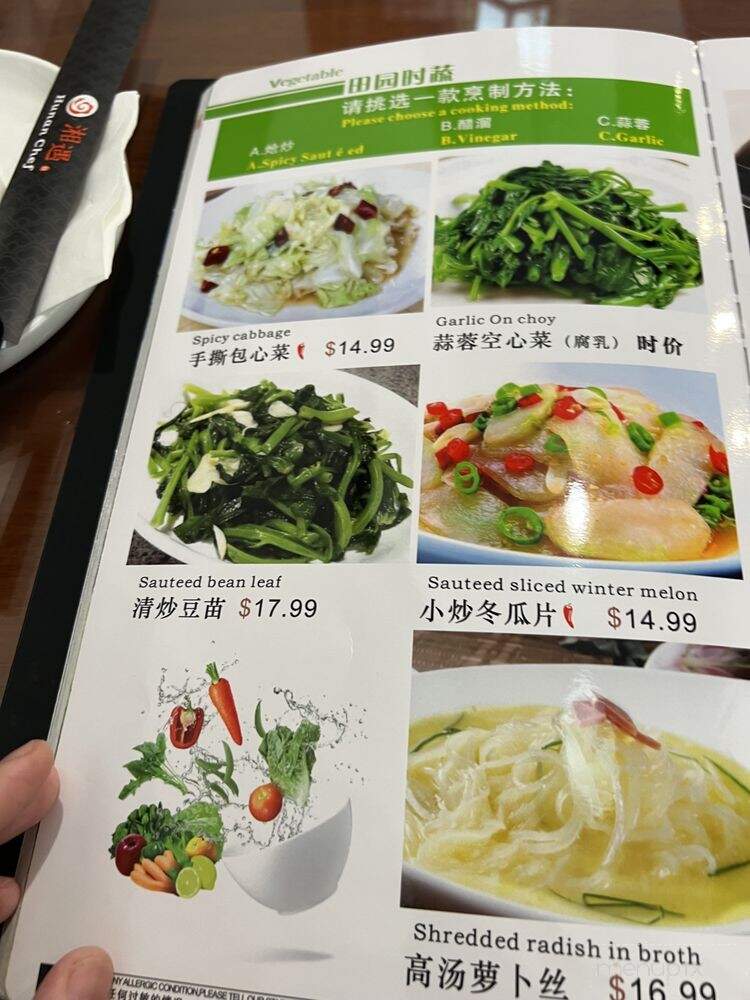 Hunan Chef - Frisco, TX menu_pic