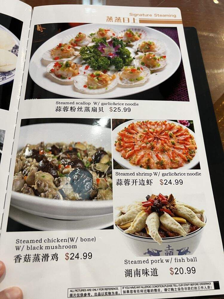 Hunan Chef - Frisco, TX menu_pic