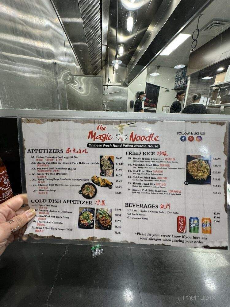 The Magic Noodle - Las Vegas, NV menu_pic