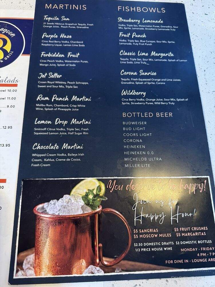 Blue Lagoon Maryland - Reisterstown, MD menu_pic