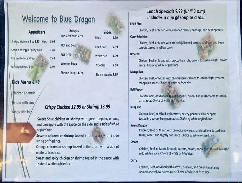 Blue Dragon - Maryville, TN menu_pic