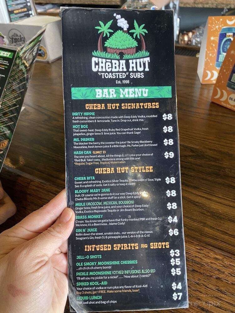Cheba Hut Toasted Subs - Dallas, TX menu_pic