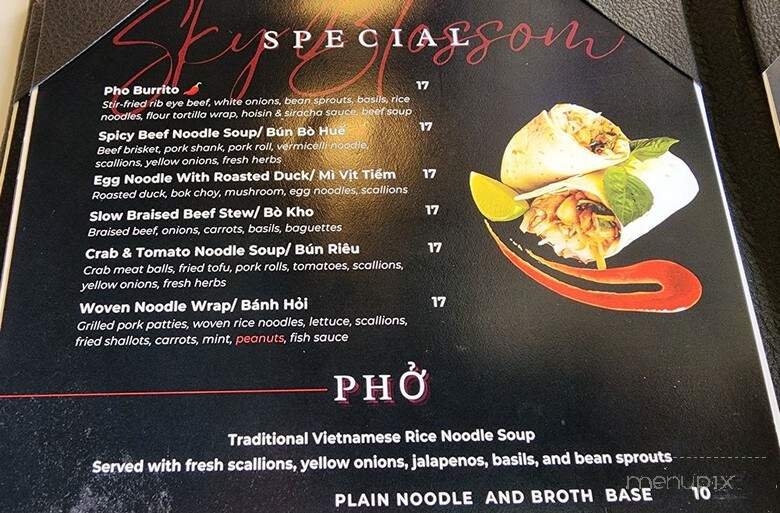 Pho Sky Blossom - Belle Isle, FL menu_pic