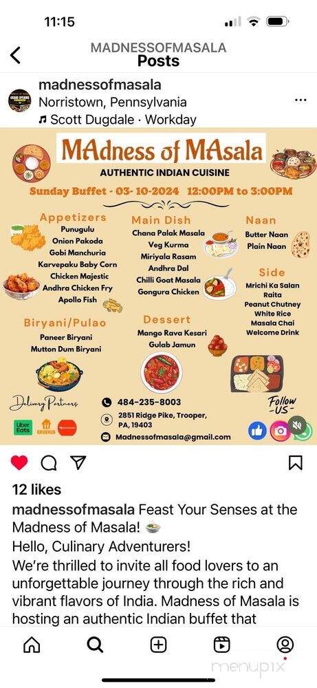 Madness of Masala - Trooper, PA menu_pic