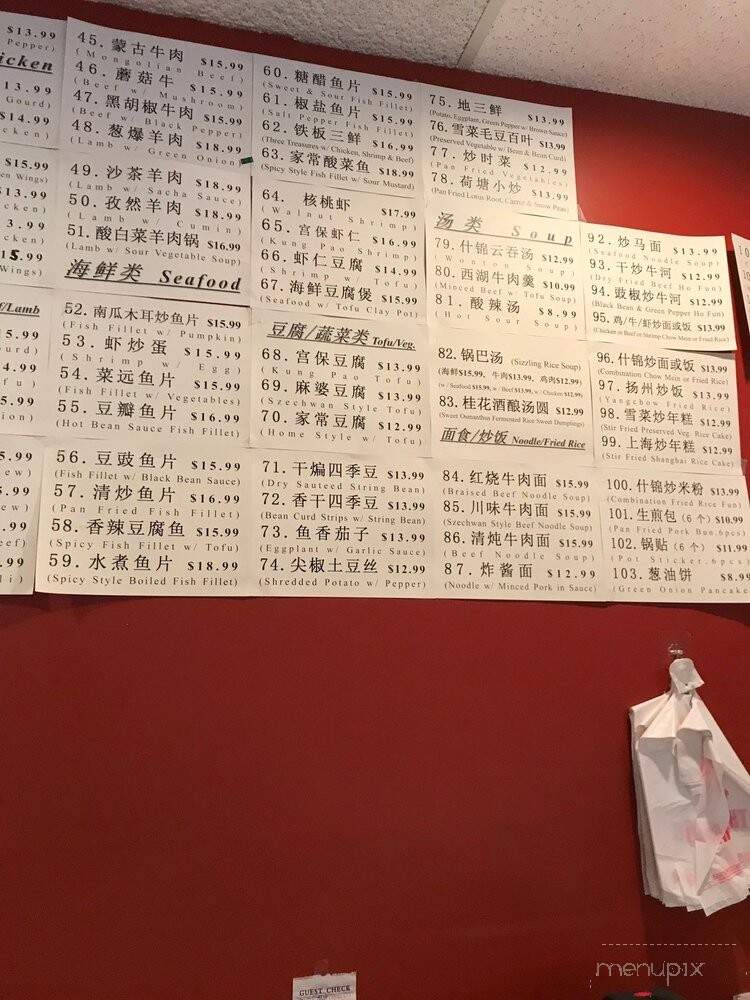New China Cuisine Expres - Pleasanton, CA menu_pic