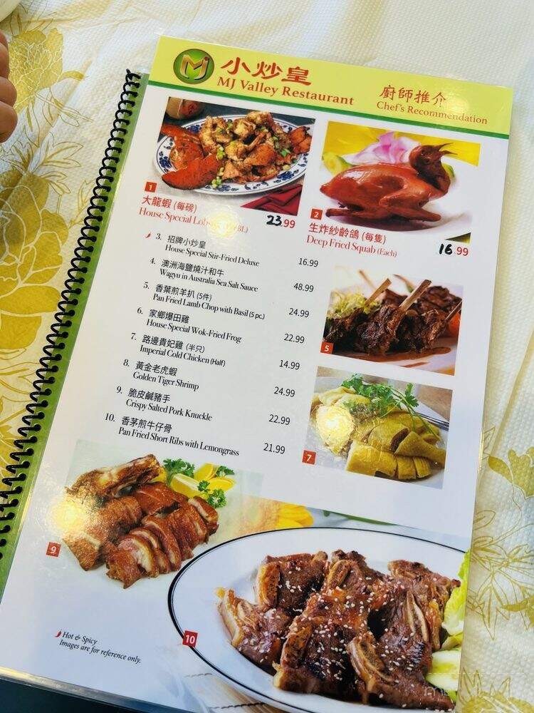 MJ Valley Restaurant - Alhambra, CA menu_pic