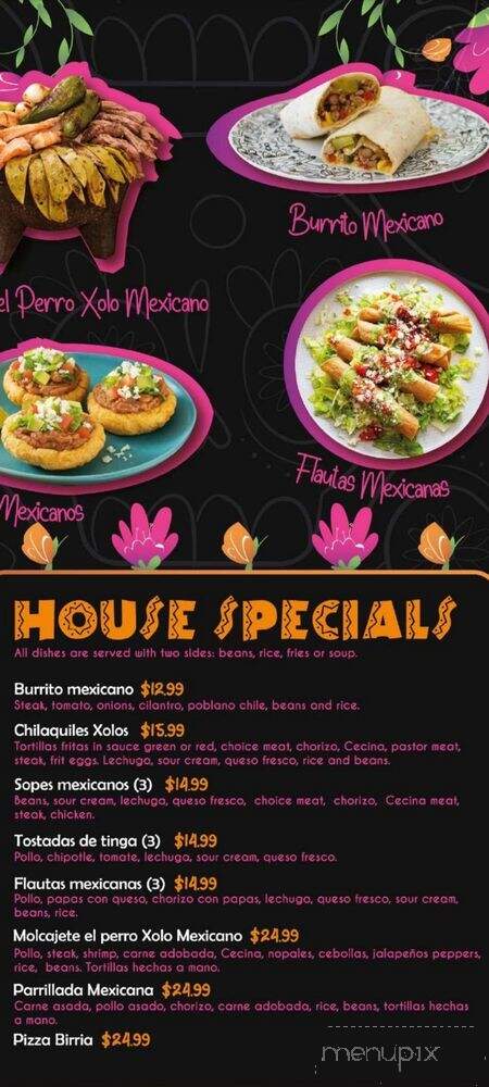 Xolo Itzcuintle - Reading, PA menu_pic