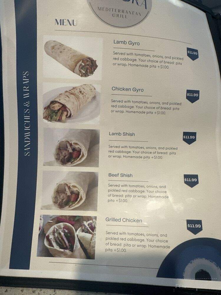 Angora Mediterranean Grill - Tampa, FL menu_pic
