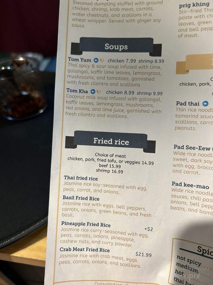 Roong Aroon Thai Cafe - Lutz, FL menu_pic