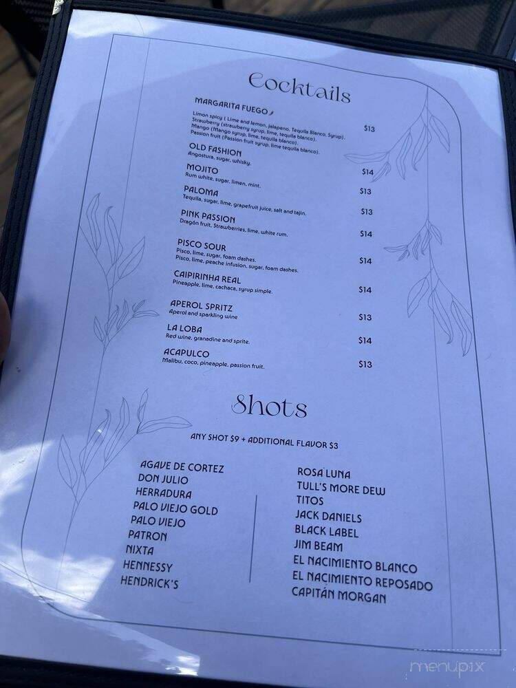 Adoro Fusion Kitchen and Bar - Chicago, IL menu_pic