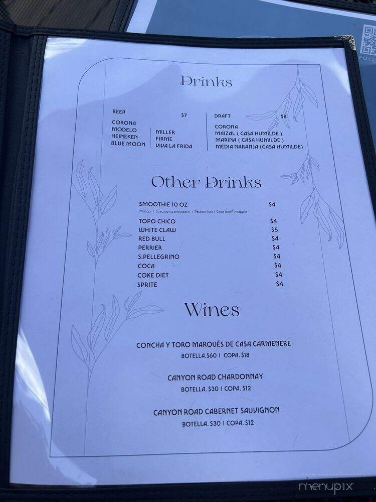Adoro Fusion Kitchen and Bar - Chicago, IL menu_pic