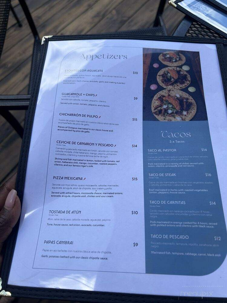 Adoro Fusion Kitchen and Bar - Chicago, IL menu_pic