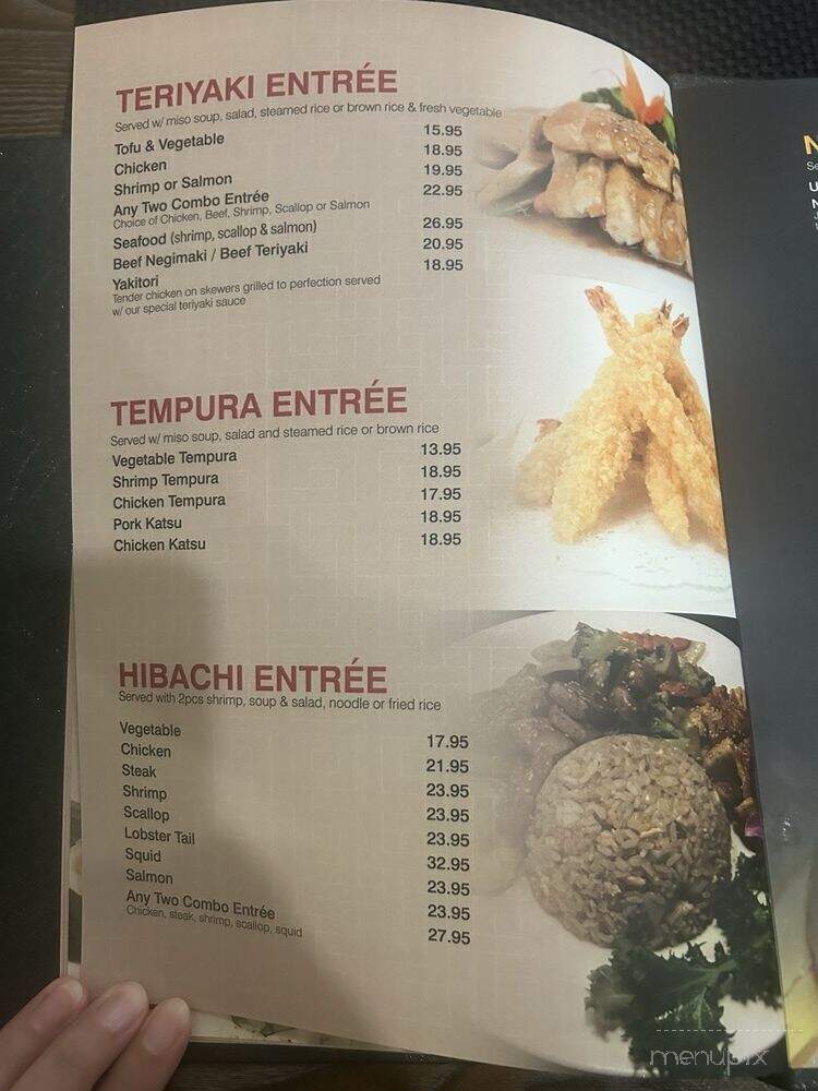 Akari II - Fishkill, NY menu_pic