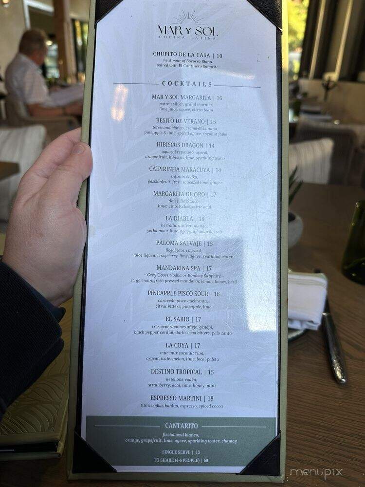 Mar Y Sol - Dallas, TX menu_pic